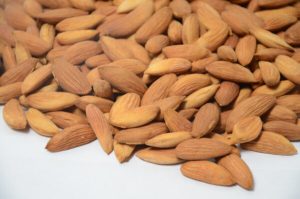 almond kernel hs code