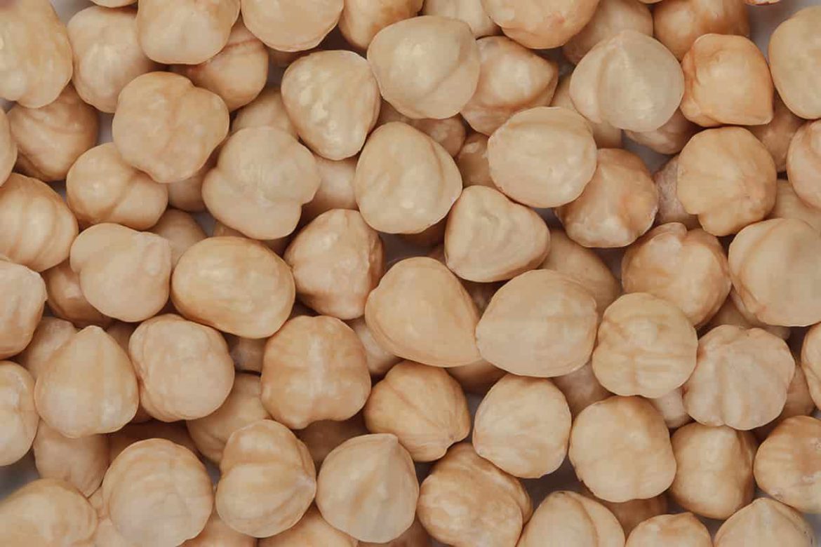 Various Kinds of Skinless Hazelnuts + Price