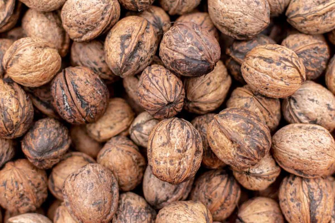 Shelled Walnuts Per Pound Wholesale Price