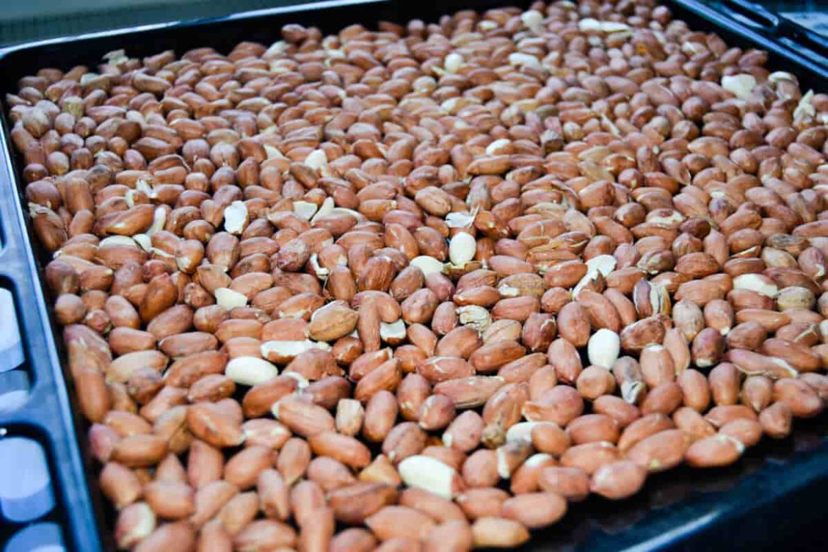 Raw Peanuts per kg Features + Wholesale Price