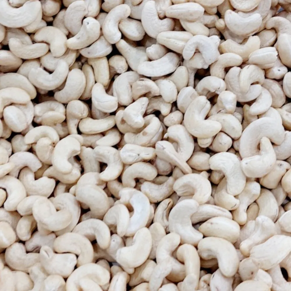 Buy cashew nut industry growth + best price