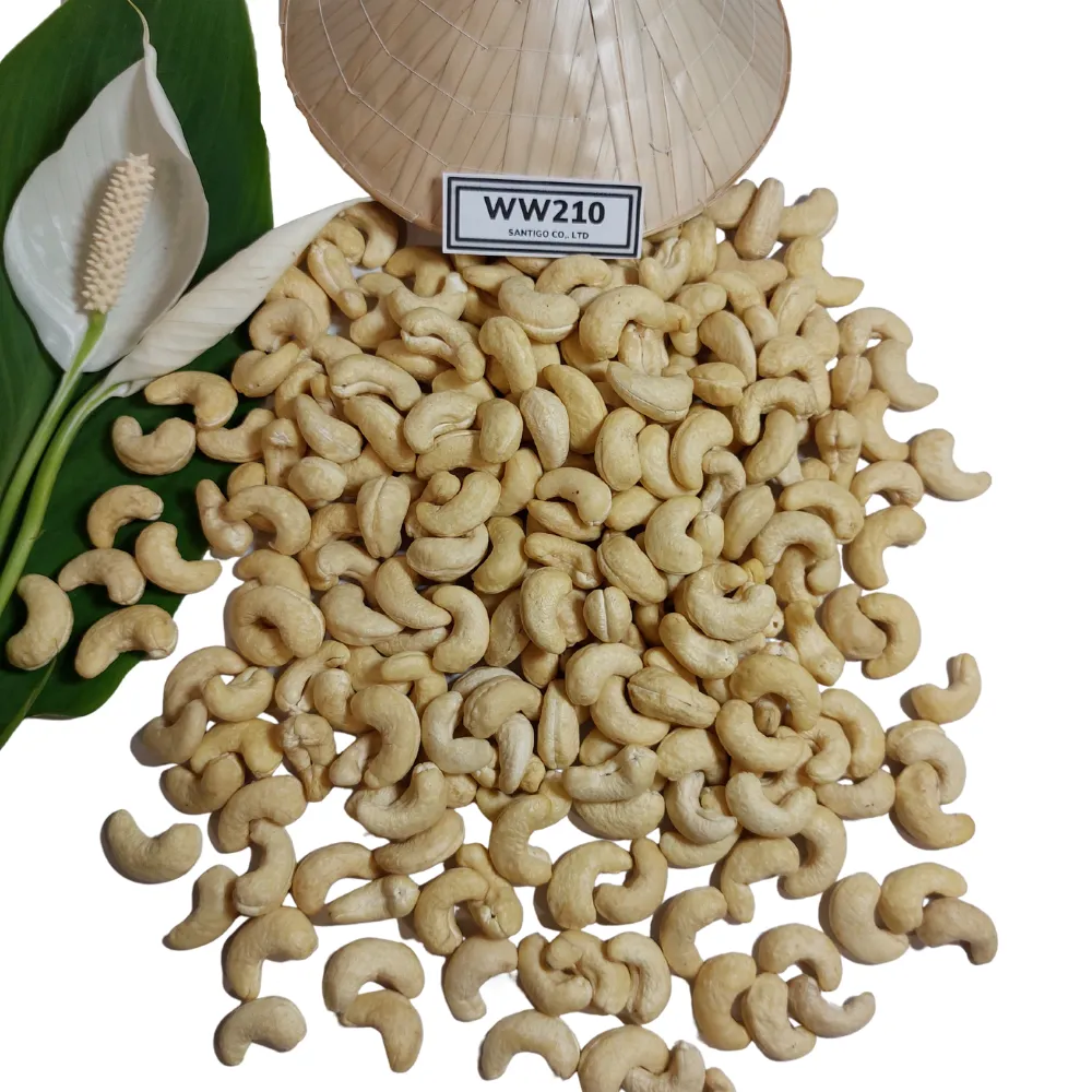 Buy cashew market in goa + great price with guaranteed quality
