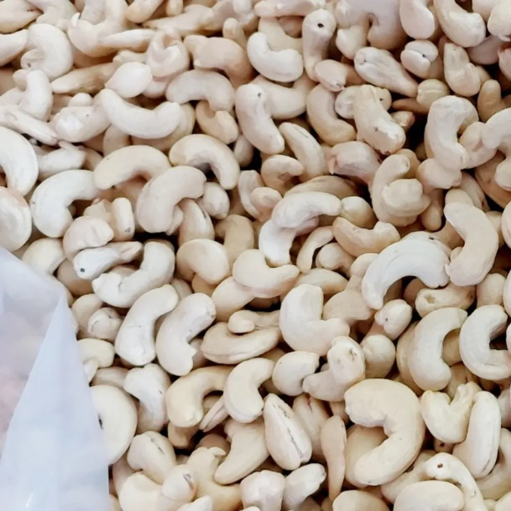 Buy cashew market in goa + great price with guaranteed quality