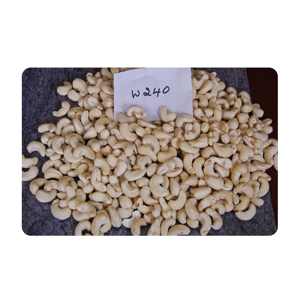 Buy cashew market size in India + best price