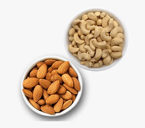 Price and buy cashew nut industry in Kerala + cheap sale