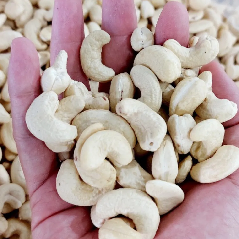 Buy cashew nut industry in Odisha at an exceptional price