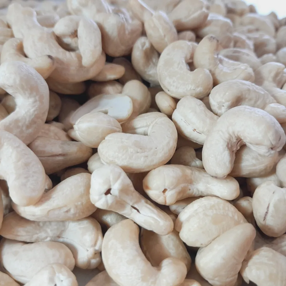 Buy and price of cashew nut industry in Chennai 