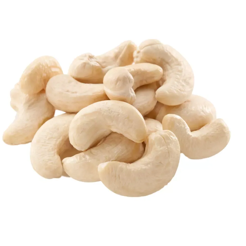 Buy raw cashew nuts in shell  + best price