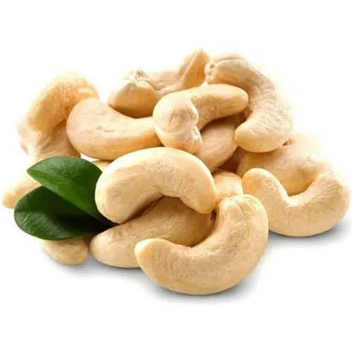 Buy raw cashew nuts in shell  + best price