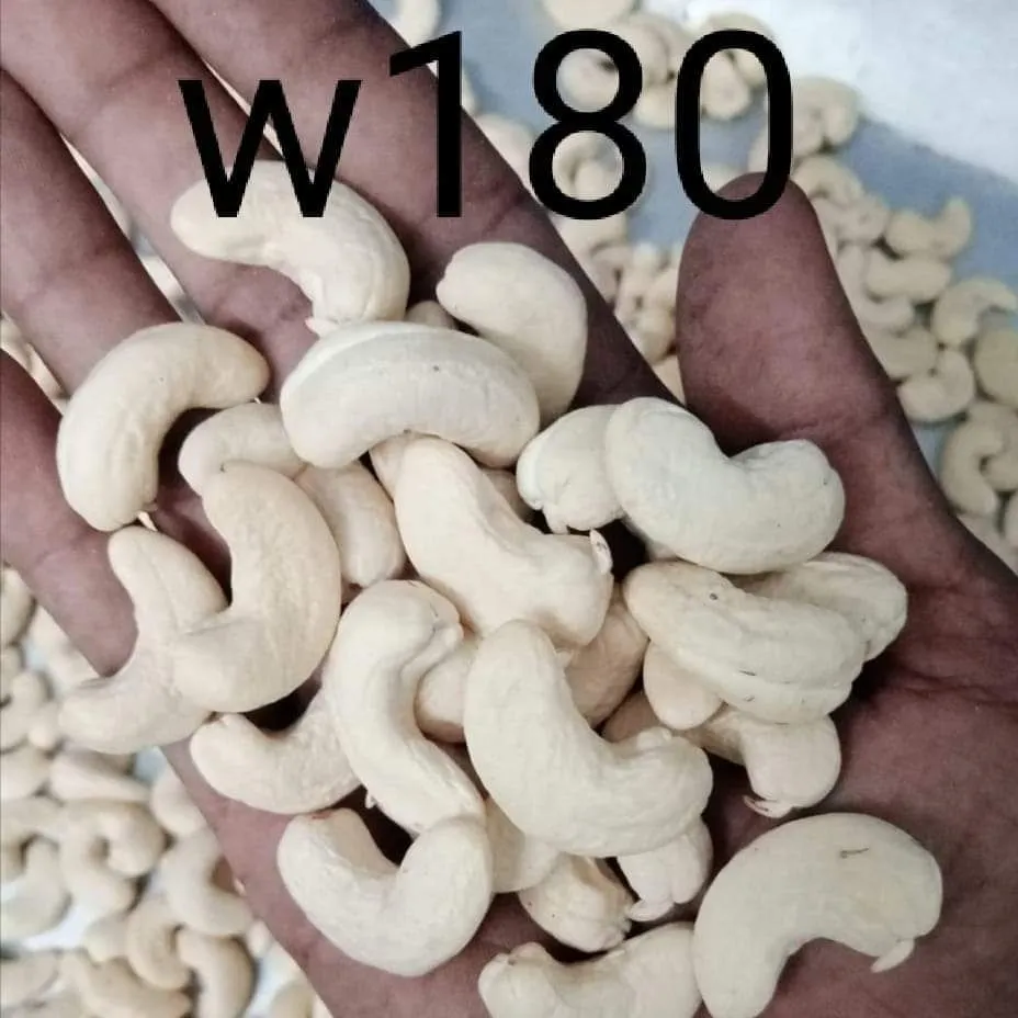 Buy organic raw cashews bulk + best price