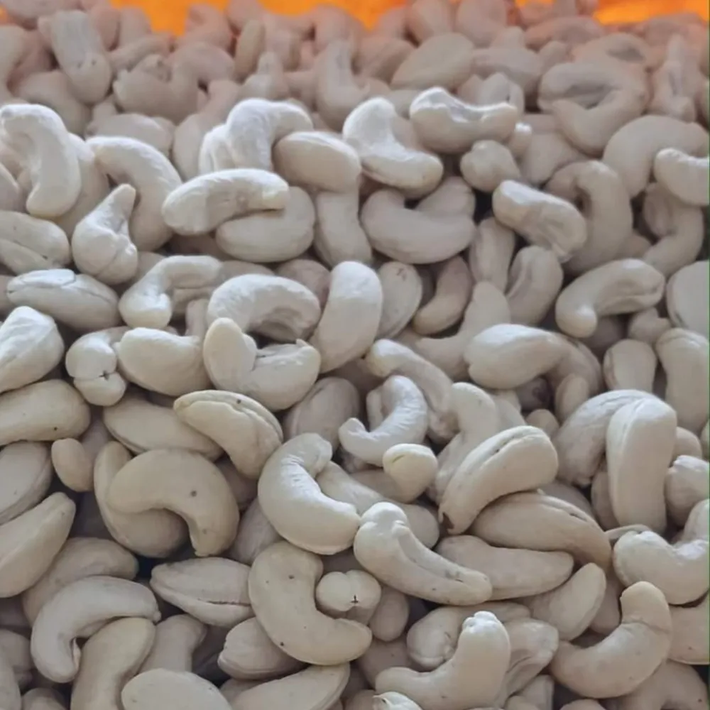 Buy bulk wholesale cashew nuts at an exceptional price