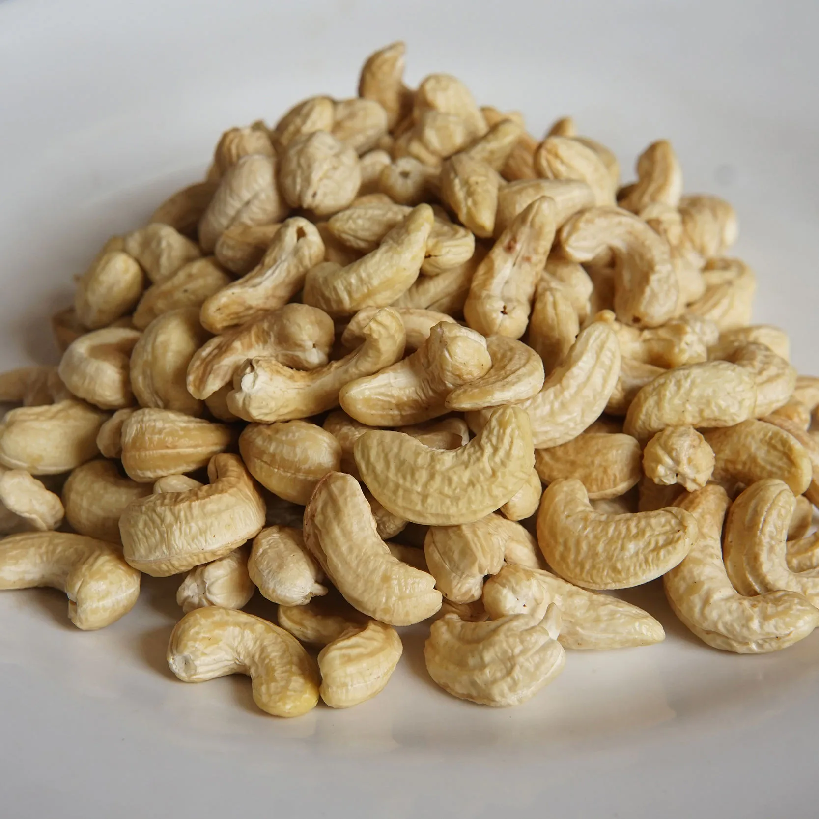 cashew nuts bulk purchase price + quality test
