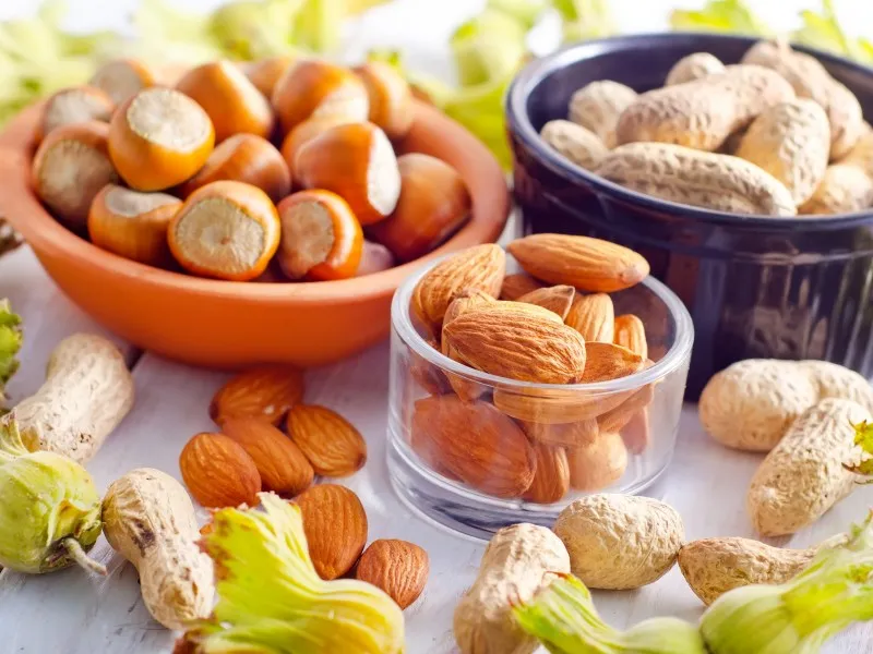 nuts in shell bulk buying guide + great price