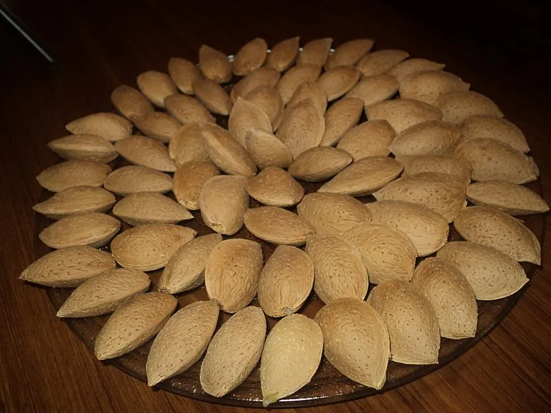 Specifications marcona almonds in shell + purchase price