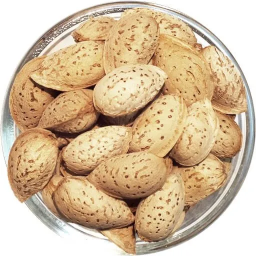 Buy the latest types of almonds in their shell