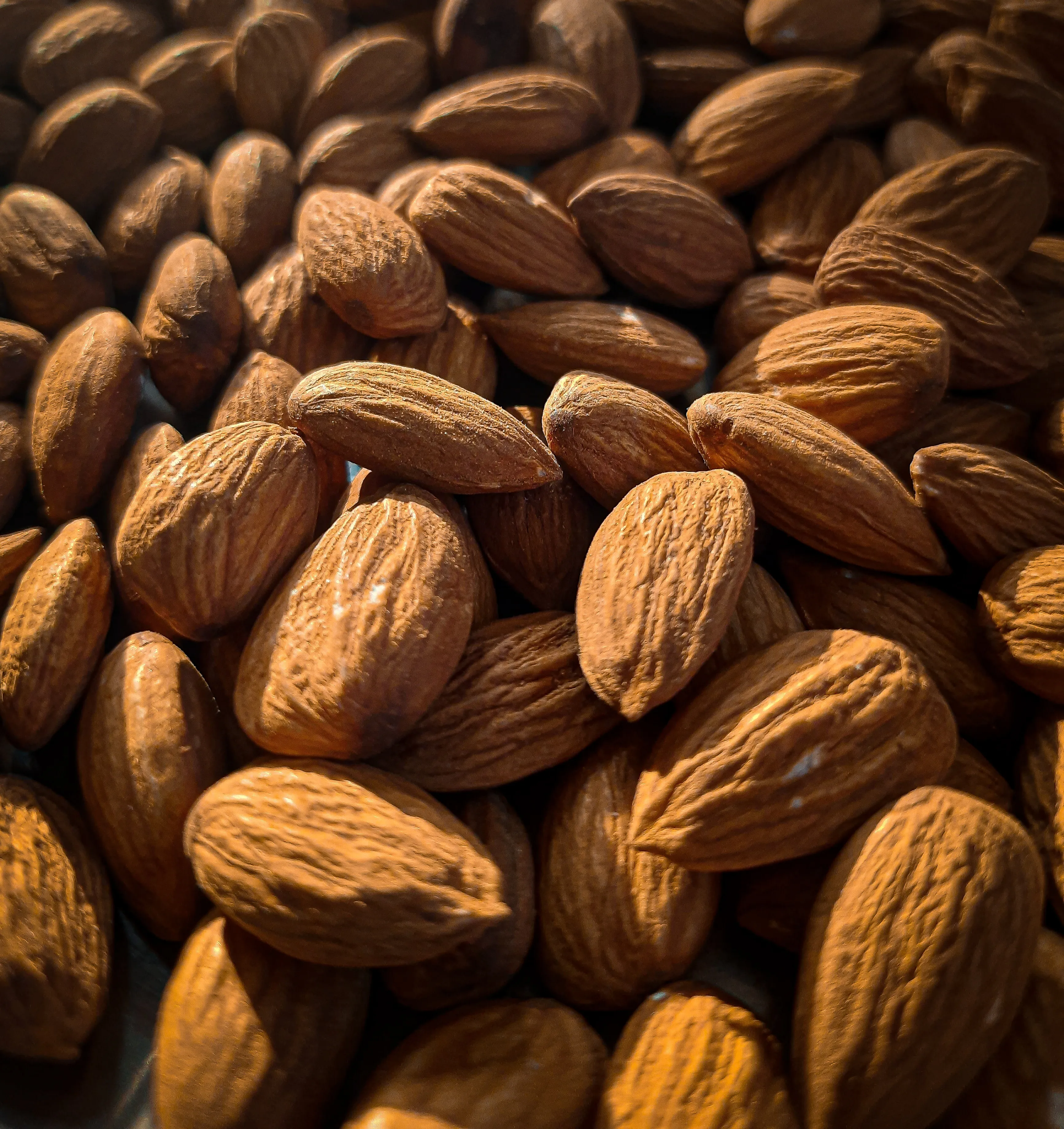 The price of almond dry fruits 1kg  + purchase and sale of almond dry fruits 1kg wholesale