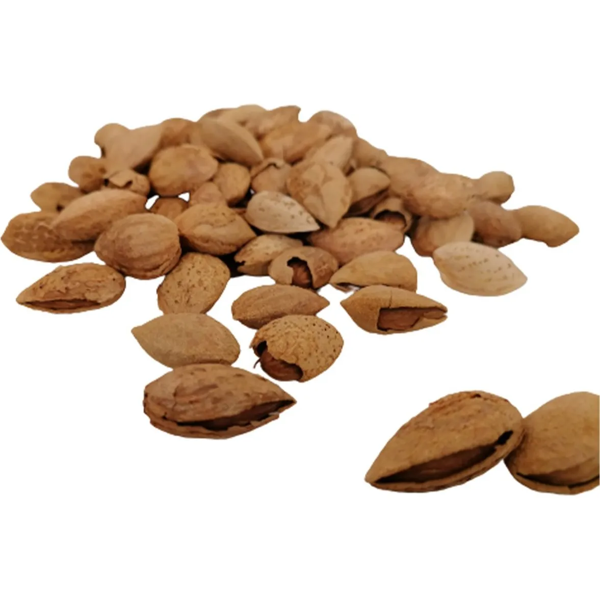 Buy raw almonds in shell + great price with guaranteed quality