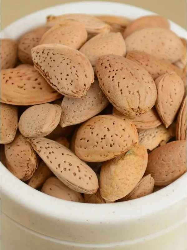 Purchase and price of bulk almonds organic types