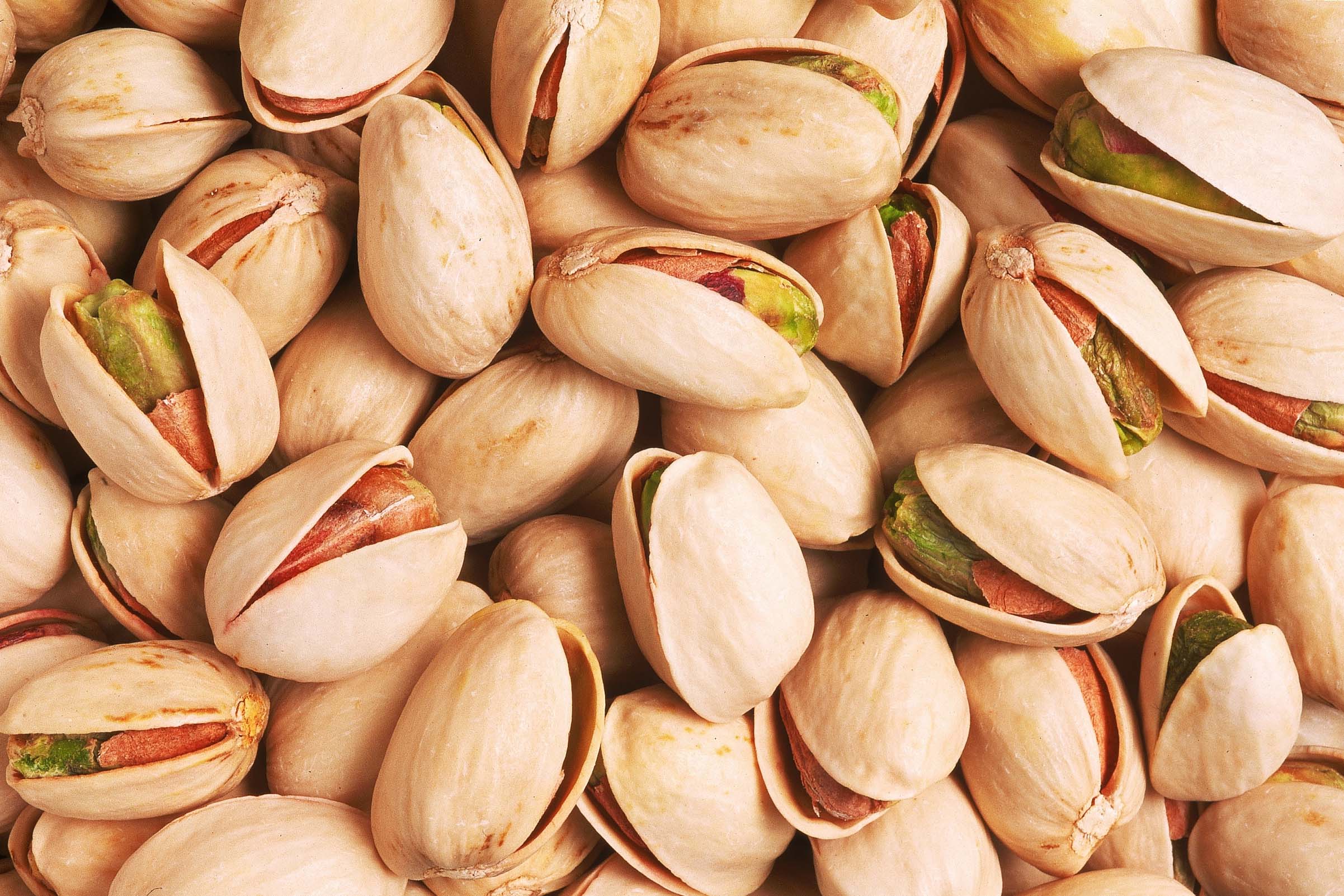 Buy best pistachio brands in the world + best price