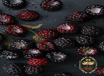 dark berries buying guide with special conditions and exceptional price