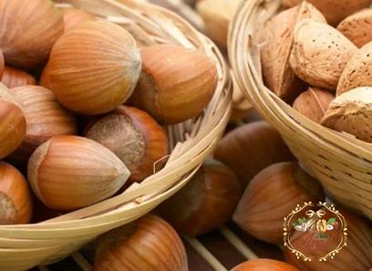 brazil hazelnuts specifications and how to buy in bulk