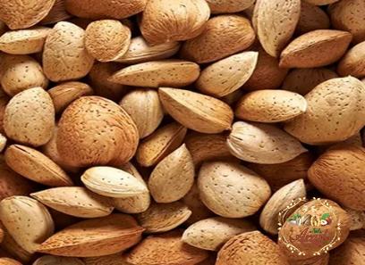 Nonpareil Almonds acquaintance from zero to one hundred bulk purchase prices