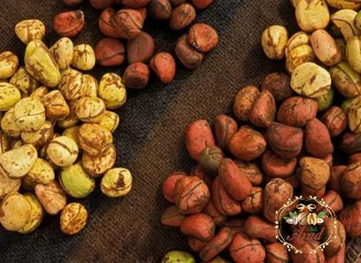 malaysia nuts buying guide with special conditions and exceptional price