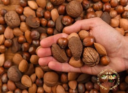 best brazil nuts acquaintance from zero to one hundred bulk purchase prices