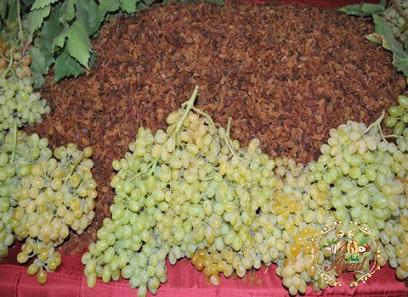Bulk purchase of Turkish sultanas with the best conditions