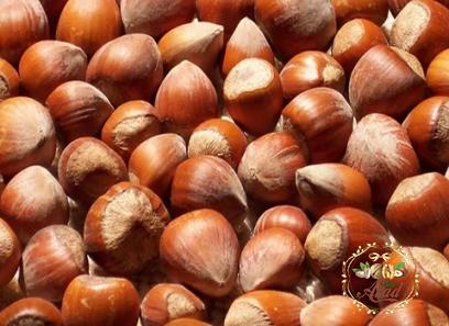 tunisian hazelnuts with complete explanations and familiarization