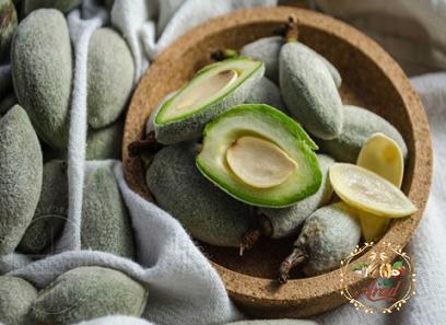 Price and purchase green almonds with complete specifications