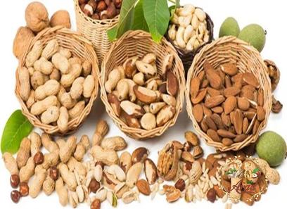 Price and purchase greece nuts with complete specifications