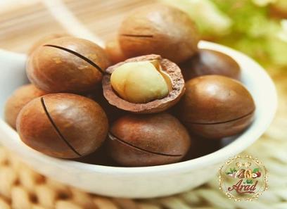 china nuts specifications and how to buy in bulk