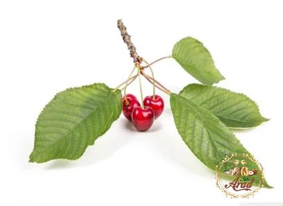 The price of bulk purchase of cherry leaf is cheap and reasonable