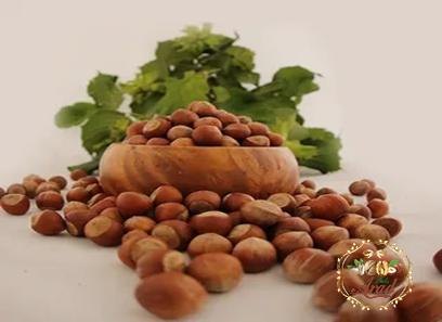 Bulk purchase of hazelnut turkish with the best conditions