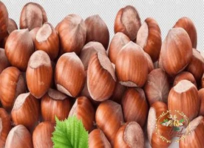georgia nuts buying guide with special conditions and exceptional price