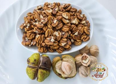 Moreland pecans acquaintance from zero to one hundred bulk purchase prices