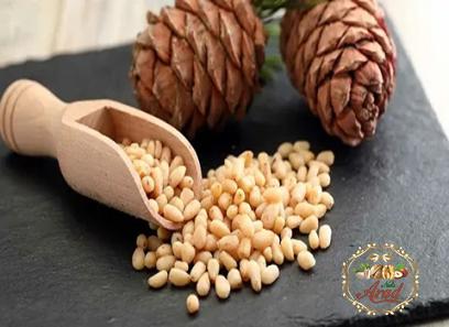pine nuts buying guide with special conditions and exceptional price