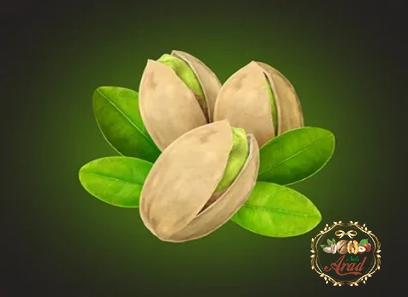 pistachio Atlantic price list wholesale and economical