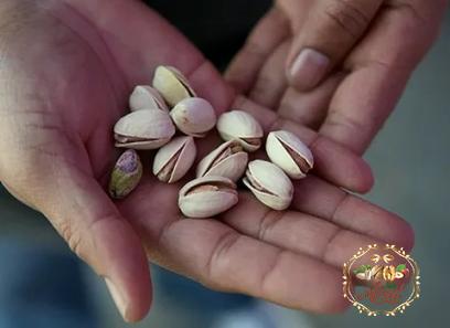 organic pistachios French acquaintance from zero to one hundred bulk purchase prices