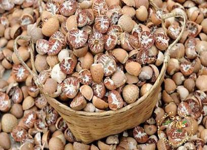maldives nuts price list wholesale and economical