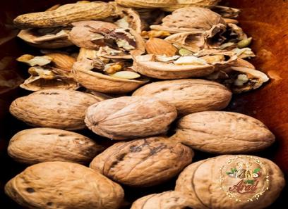 organic walnuts egypt specifications and how to buy in bulk