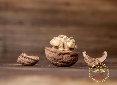 english walnut with complete explanations and familiarization
