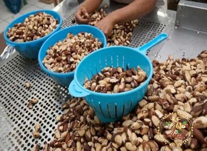 Bulk purchase of nuts europe with the best conditions